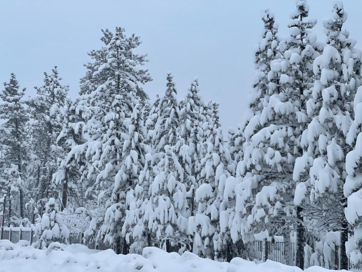 Pinewood Inn South Lake Tahoe Ngoại thất bức ảnh